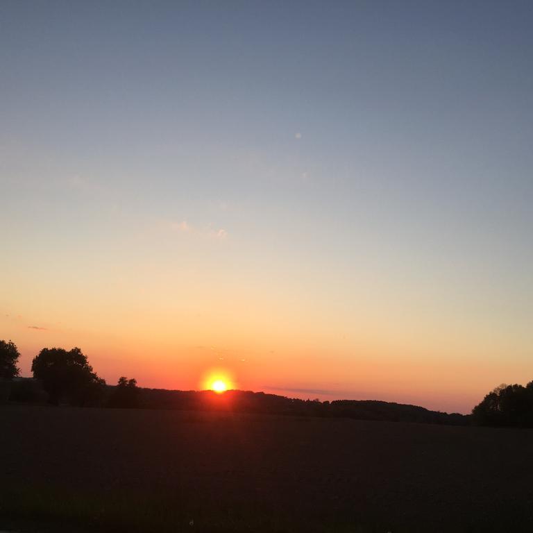 Gasthof Zur Goldenen Sonne パッサウ エクステリア 写真